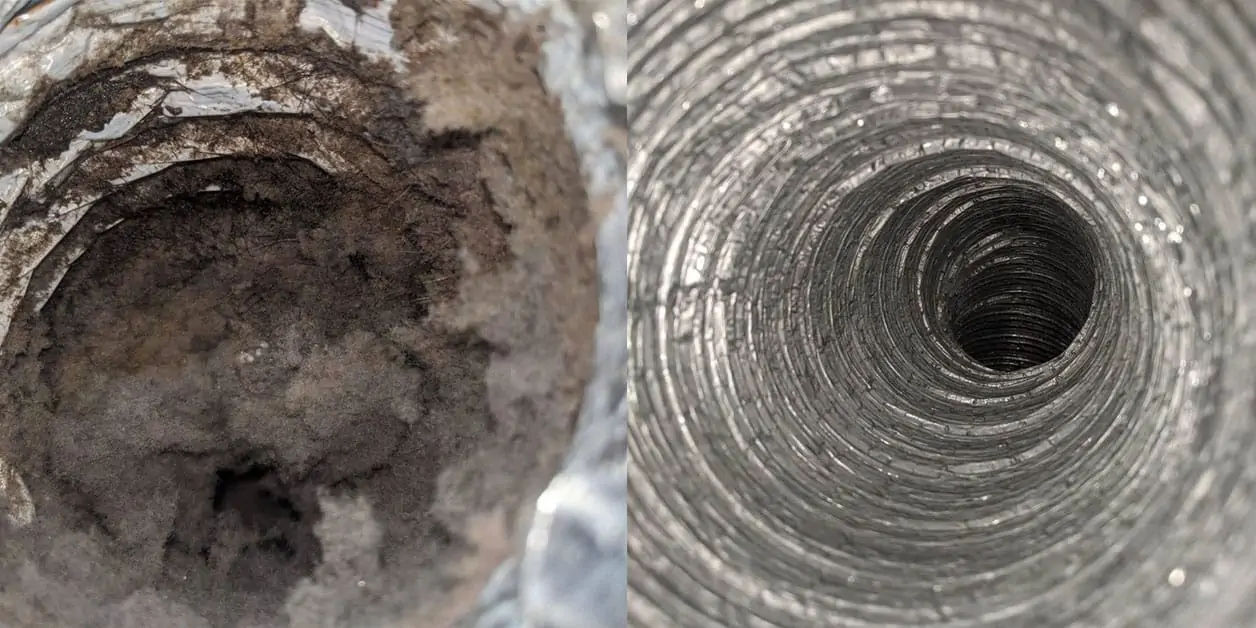Before & After Results