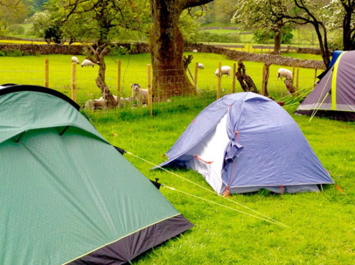 Website Design for Buckden Camping