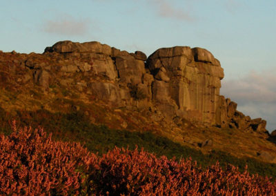 Friends of Ilkley Moor