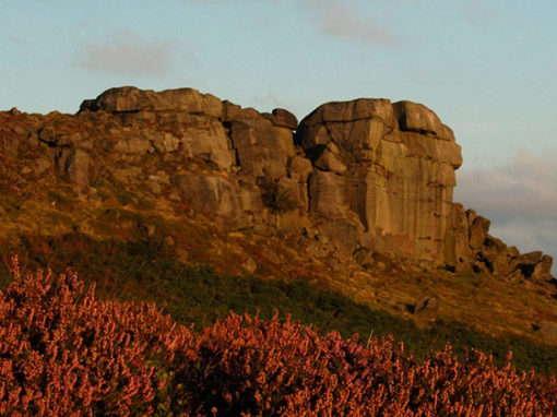 Website Design for Friends of Ilkley Moor