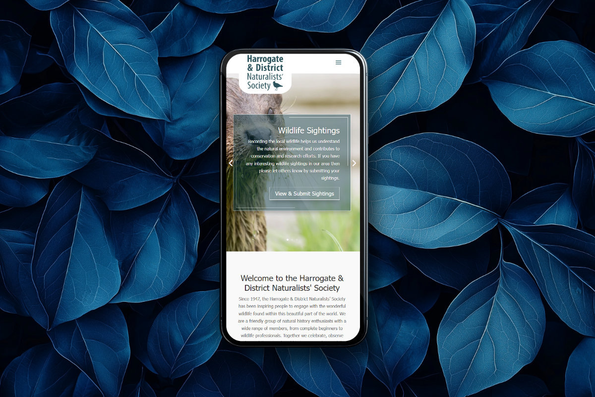 Website Design for Harrogate Charity