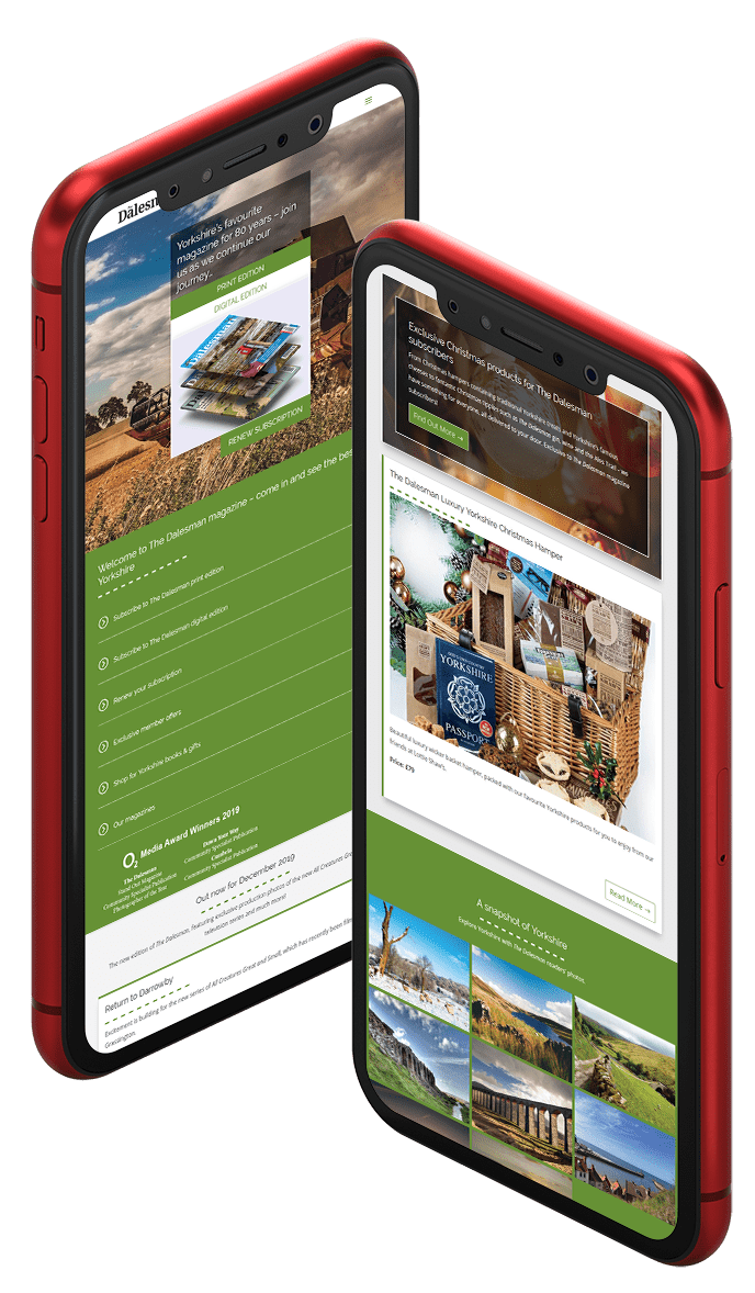 Web Design Yorkshire for Dalesman Magazine