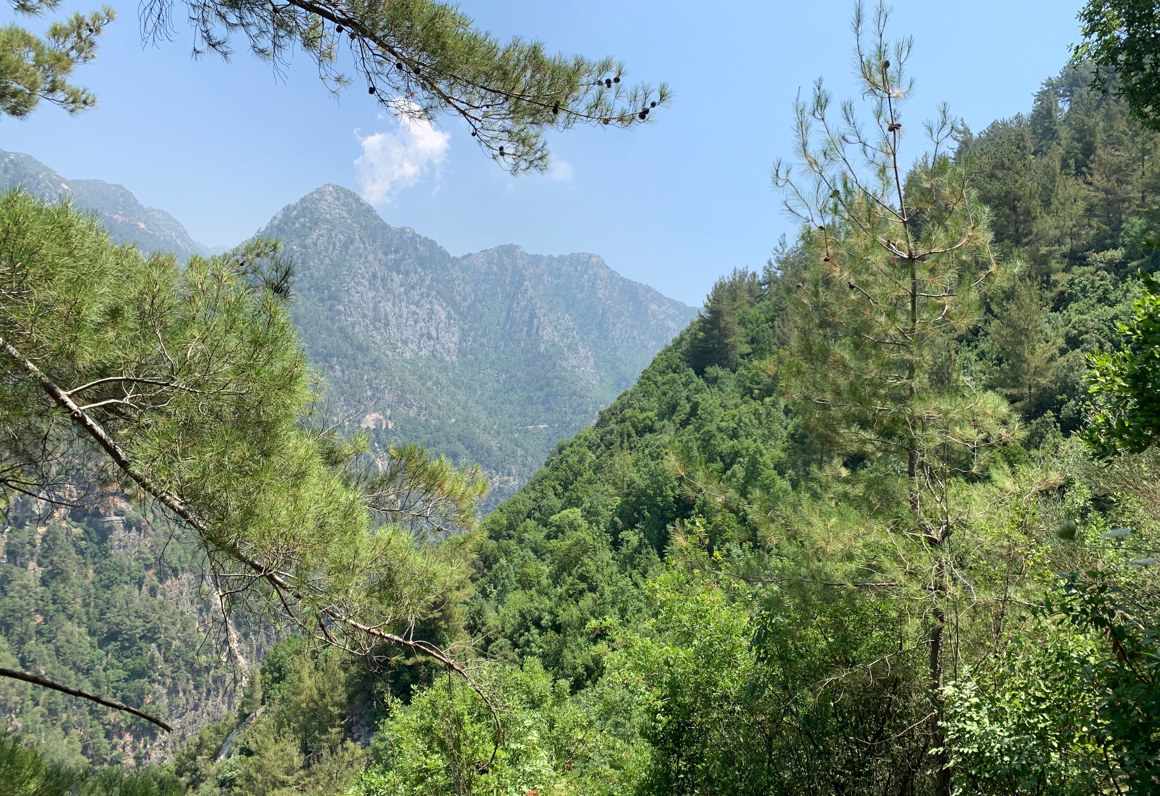 Jabal Moussa Biosphere Reserve