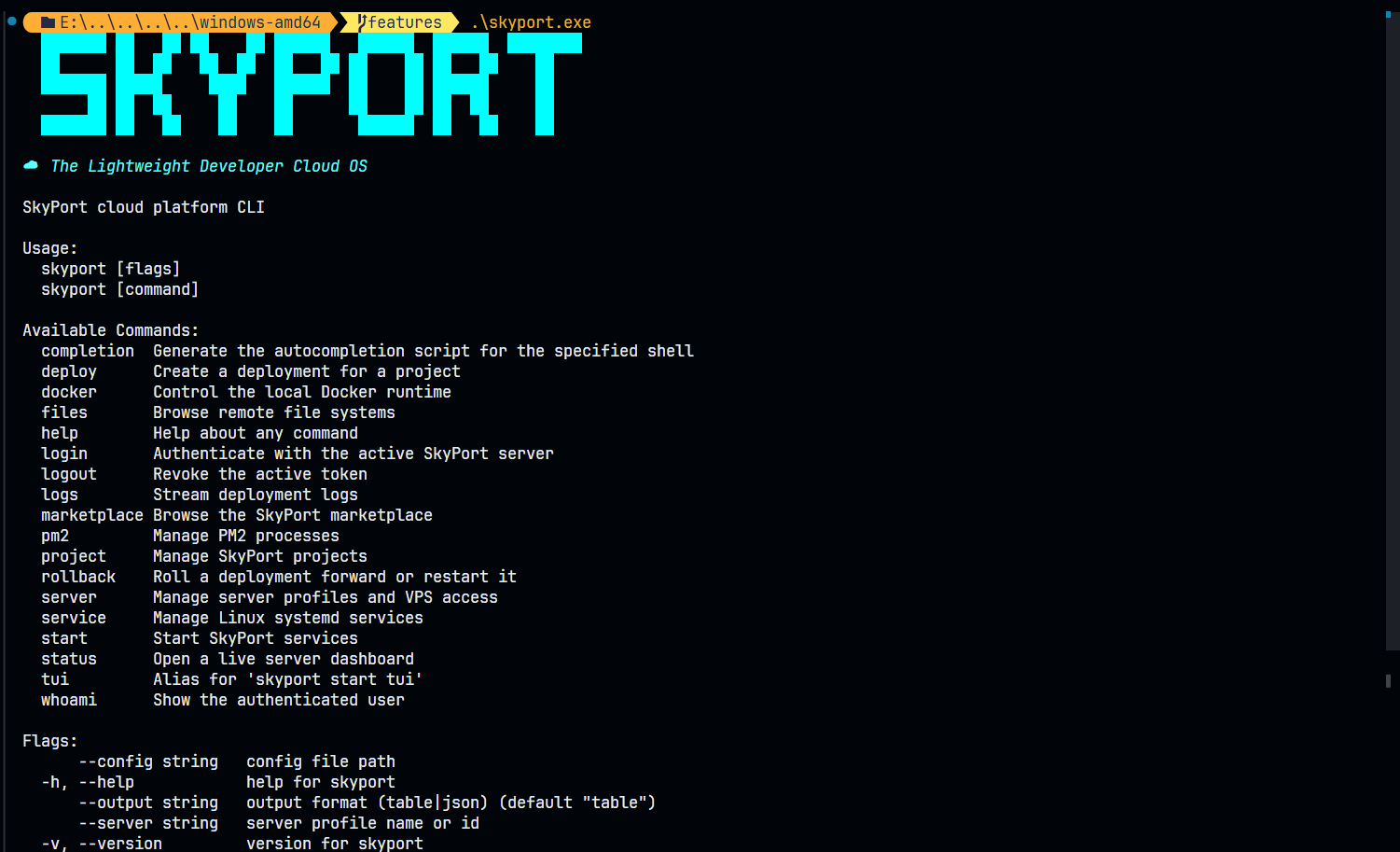 SkyPort CLI