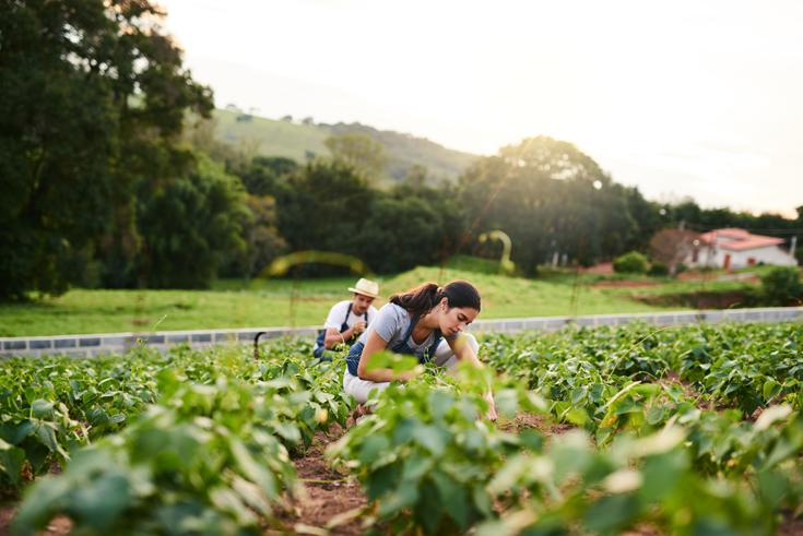 Canadá financiará al menos 40 proyectos de tecnología agroalimentaria para impulsar la innovación