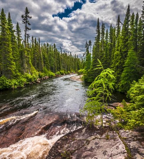 Guía de verano en Canadá: Los mejores destinos familiares para explorar en agosto