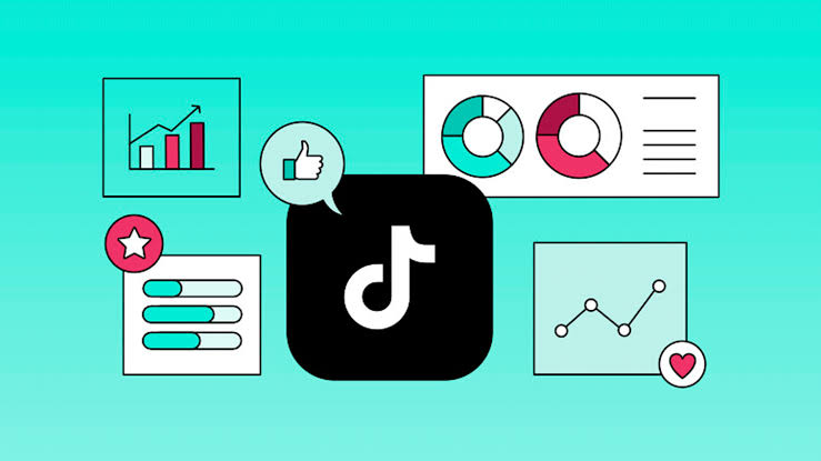 Analytics & Content Optimization Tools (TikTok Analytics, Metricool)