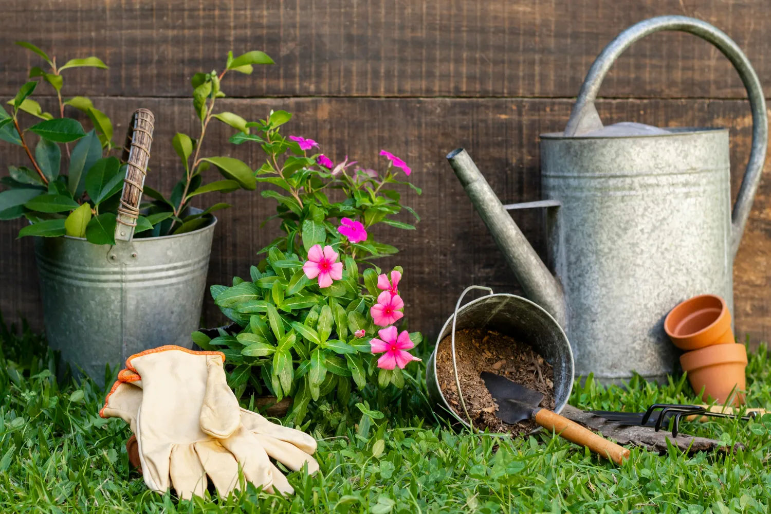 Gardening maintenance near me discount