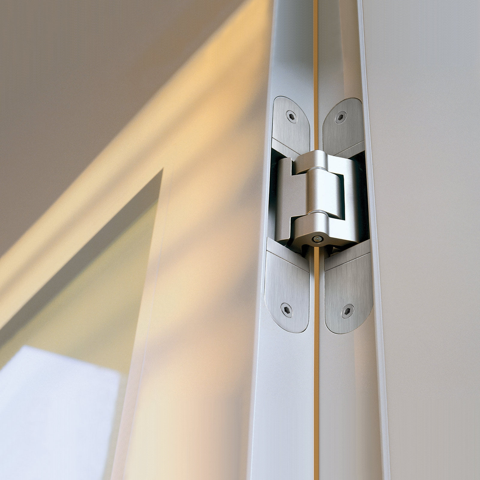Door Hinges Replacement