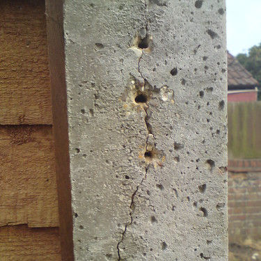 Fence  concrete post each Replacement
