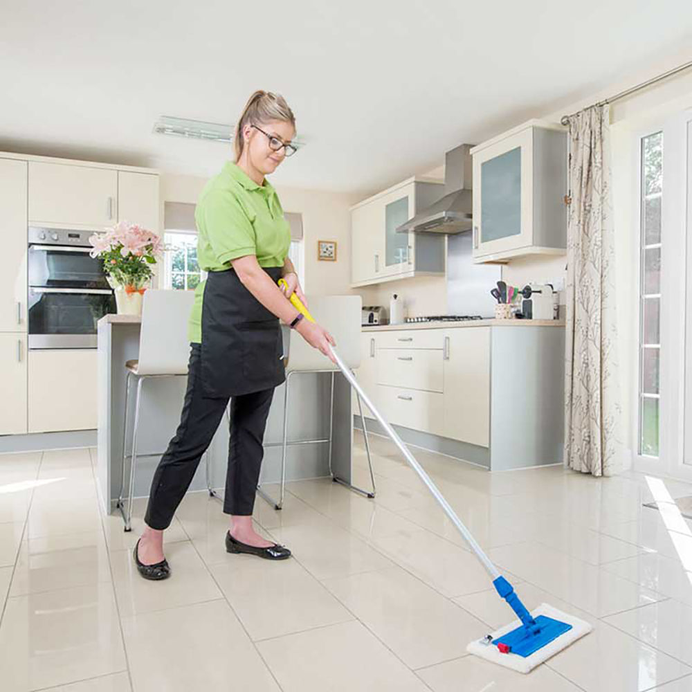 Full day Cleaning with products