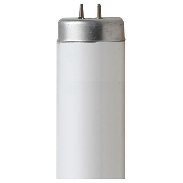 T12-1-1/2" diameter Tube light Replacement (Up to 5 Lamps )