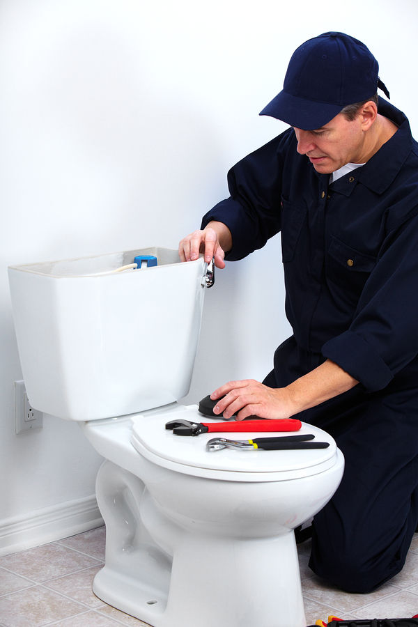 Toilet Cistern Replacement (Close Coupled)