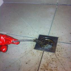 Shower Drain Blockage