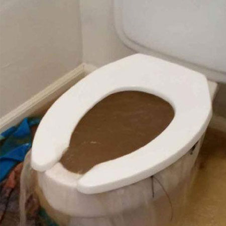 Toilet Drain Blockage