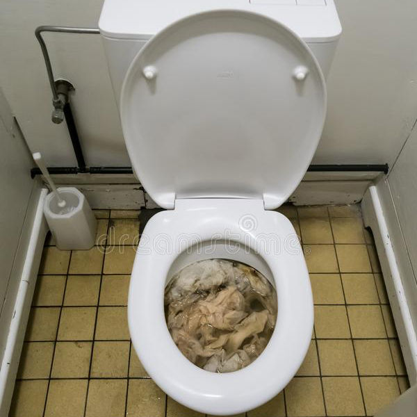 Toilet Drain Blockage