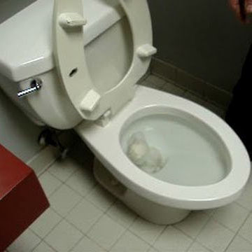 Toilet Drain Blockage