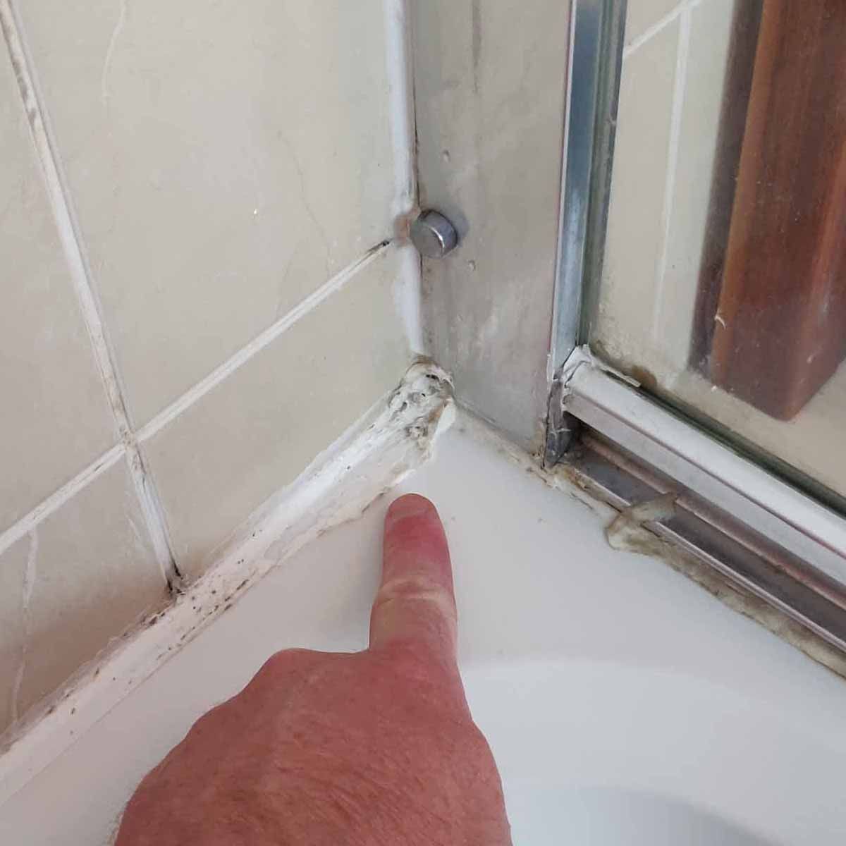 Shower Reseal