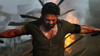 Box Office 2023 Recap: Salaar is the only South film whose Hindi version turned out to be a success