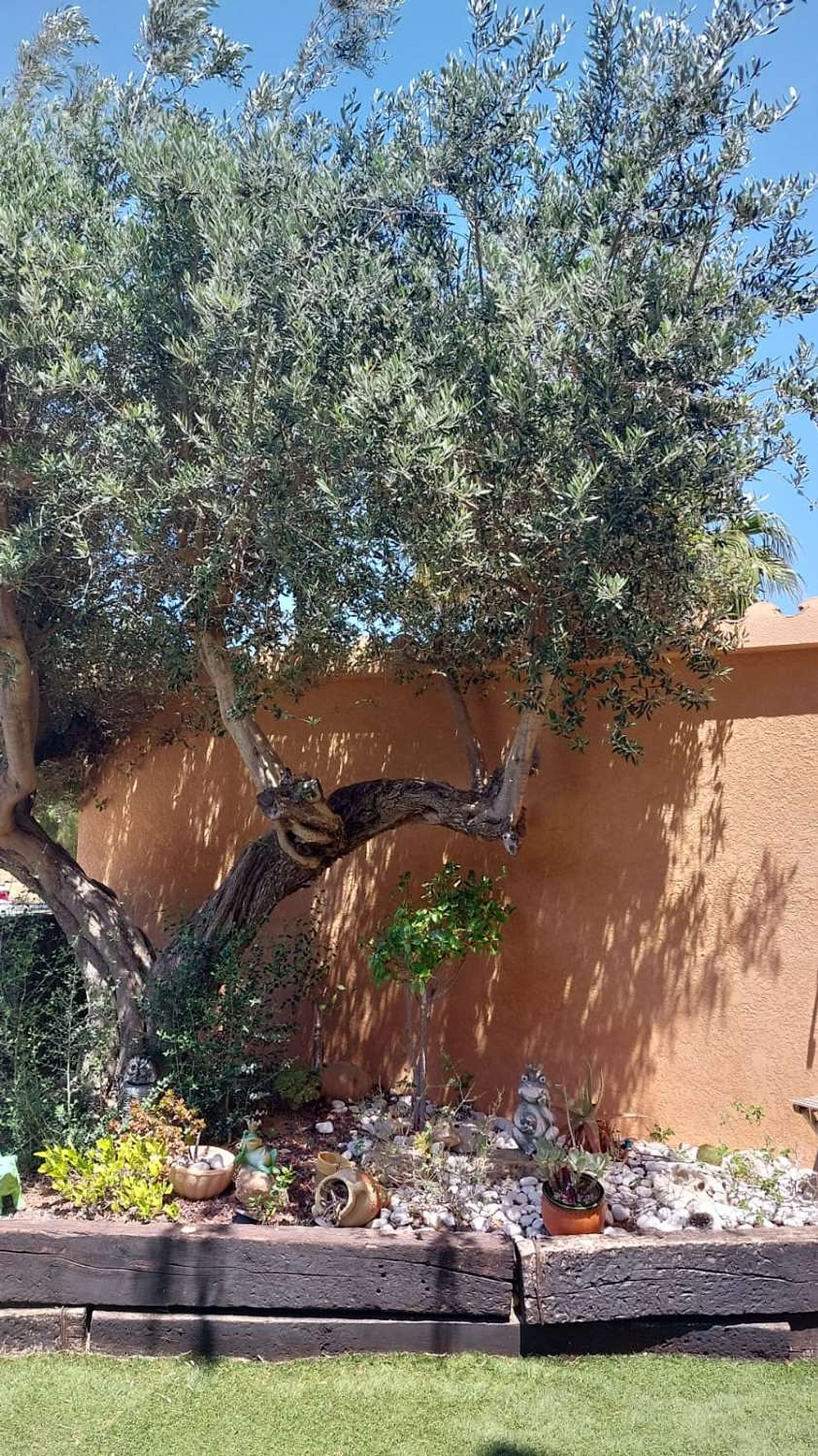 Wohnung zum Verkauf in L'Ametlla de Mar — Fotos 43