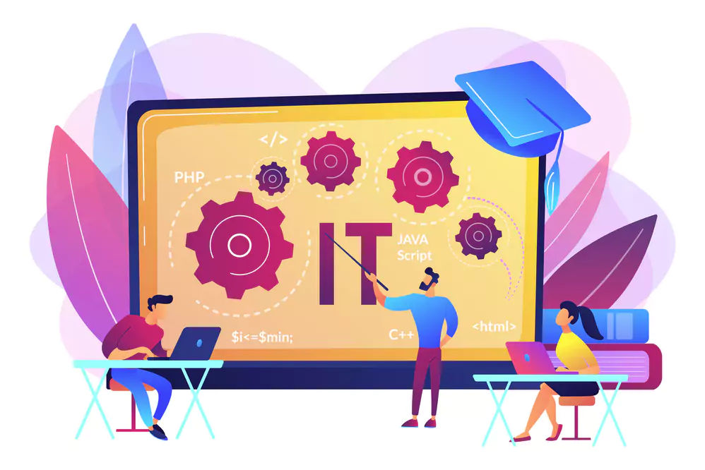 IT Professionals and Developers