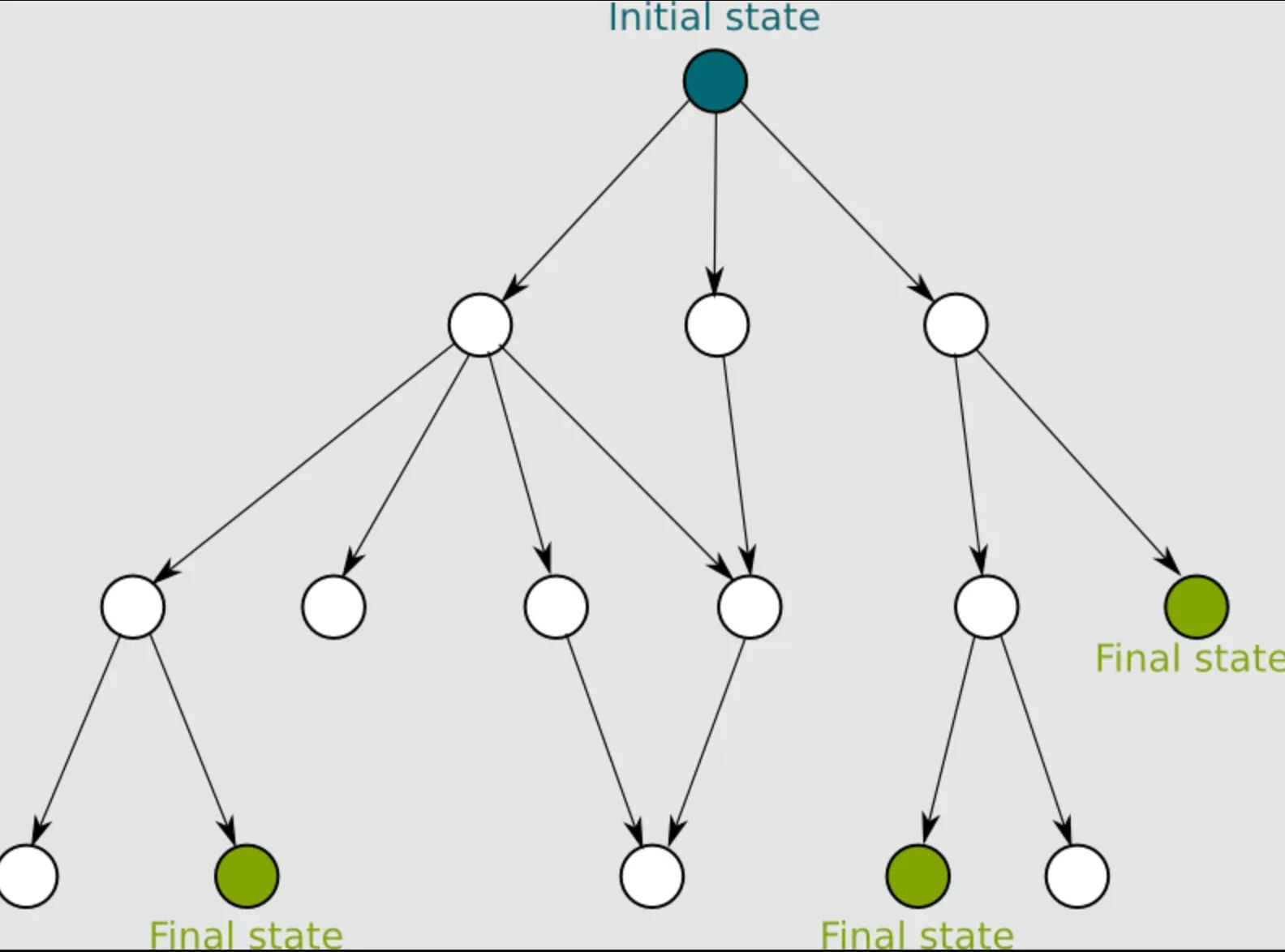 Non-Deterministic Algorithms