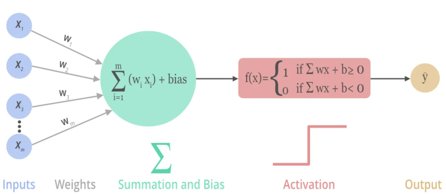 Activation fucntion