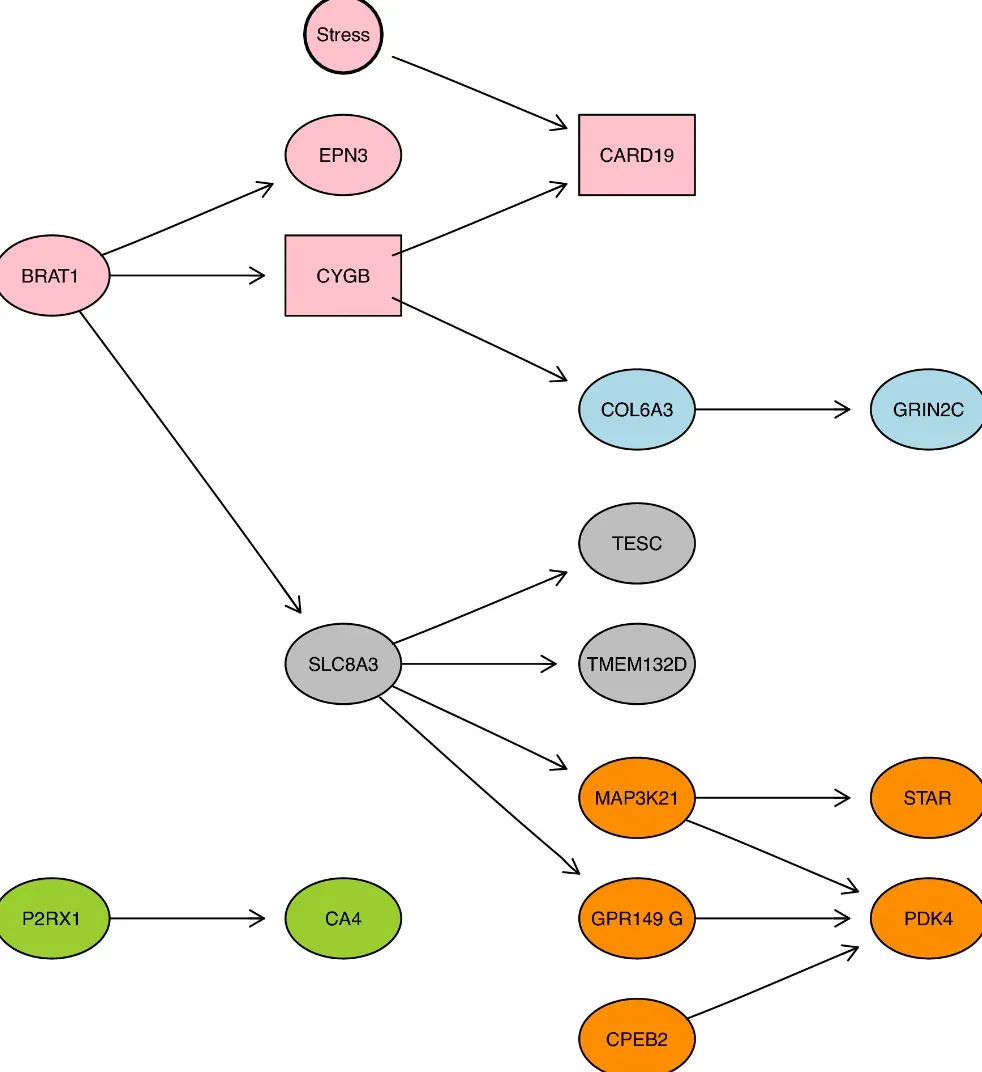 Constraints of Bayesian Networks