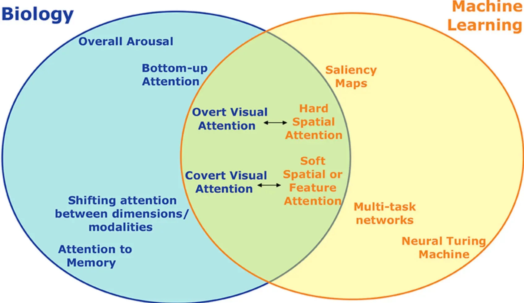 Cognitve science in Machine learning