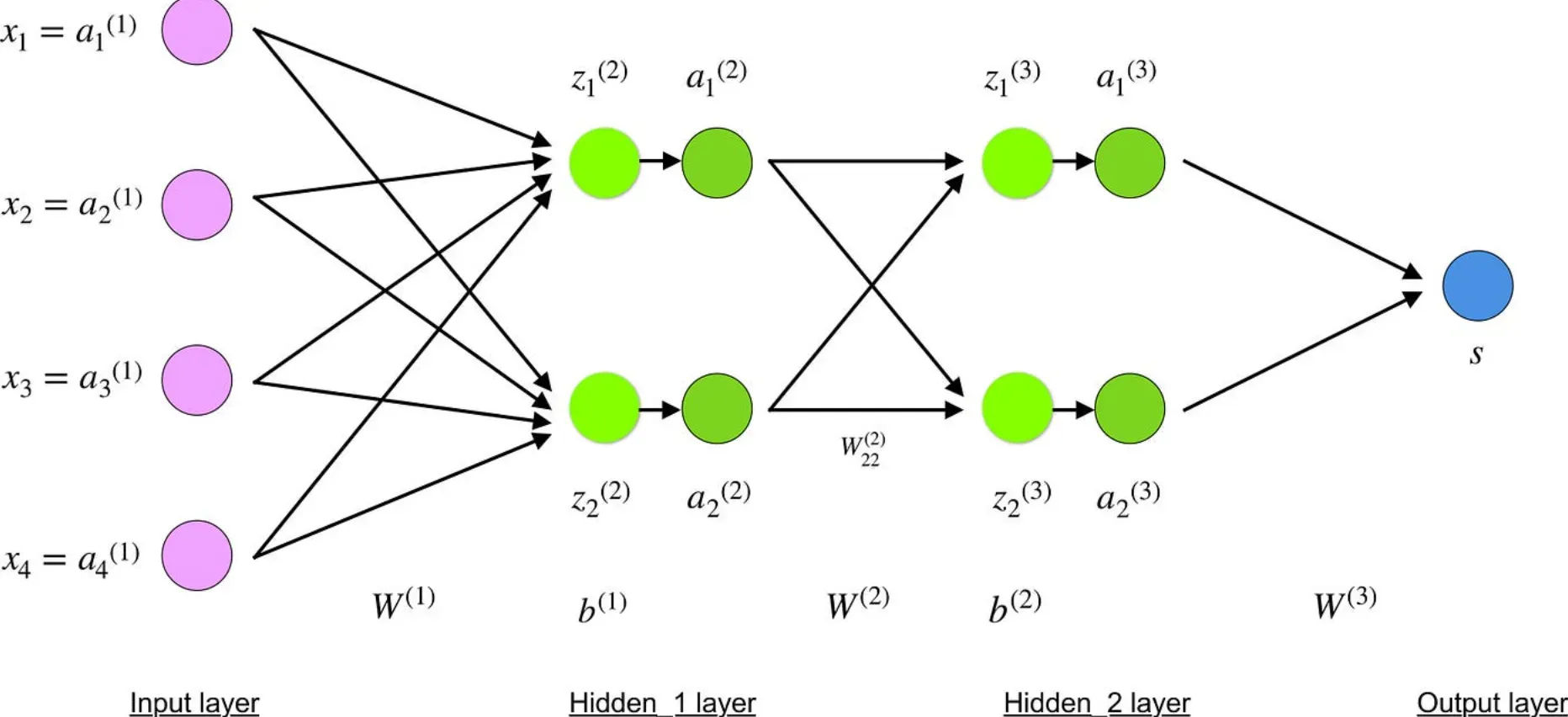 Role of Bias in Backpropagation