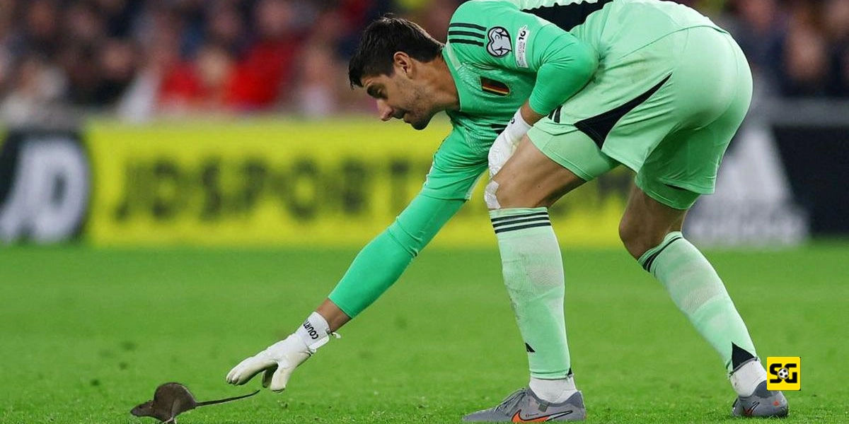 Momen Lucu di Laga Wales vs. Belgia, Tikus Masuk ke Lapangan!