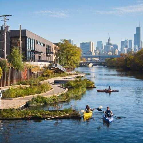 kayakers on a river next to a stretch of green plant life