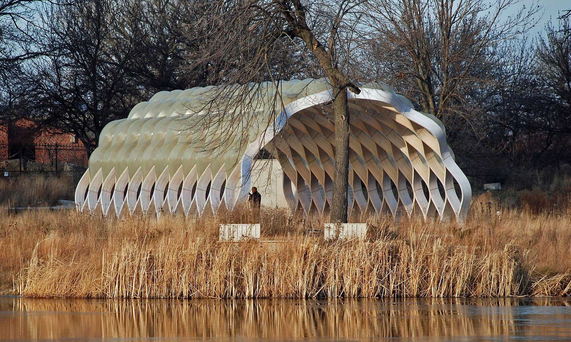 A photo of Nature Boardwalk as seen frramed by a reflecting pond and a stand of reeds. 