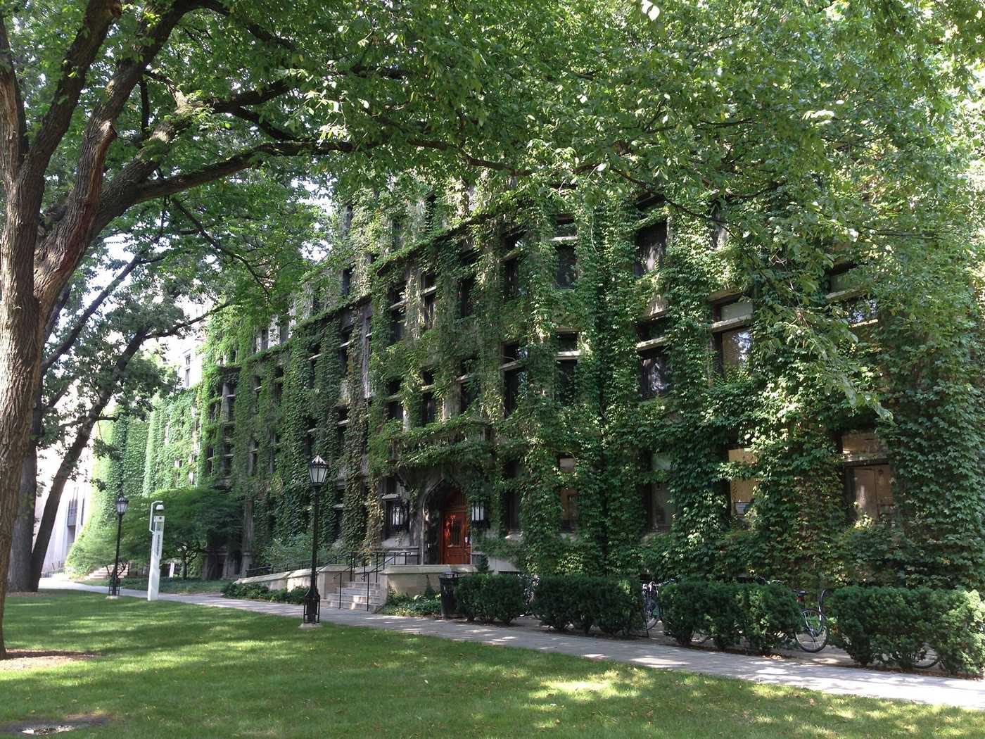 An exterior photo of a building covered in ivy.