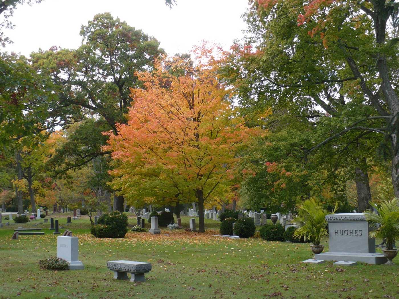 Autumn view of headstones in a cemetery