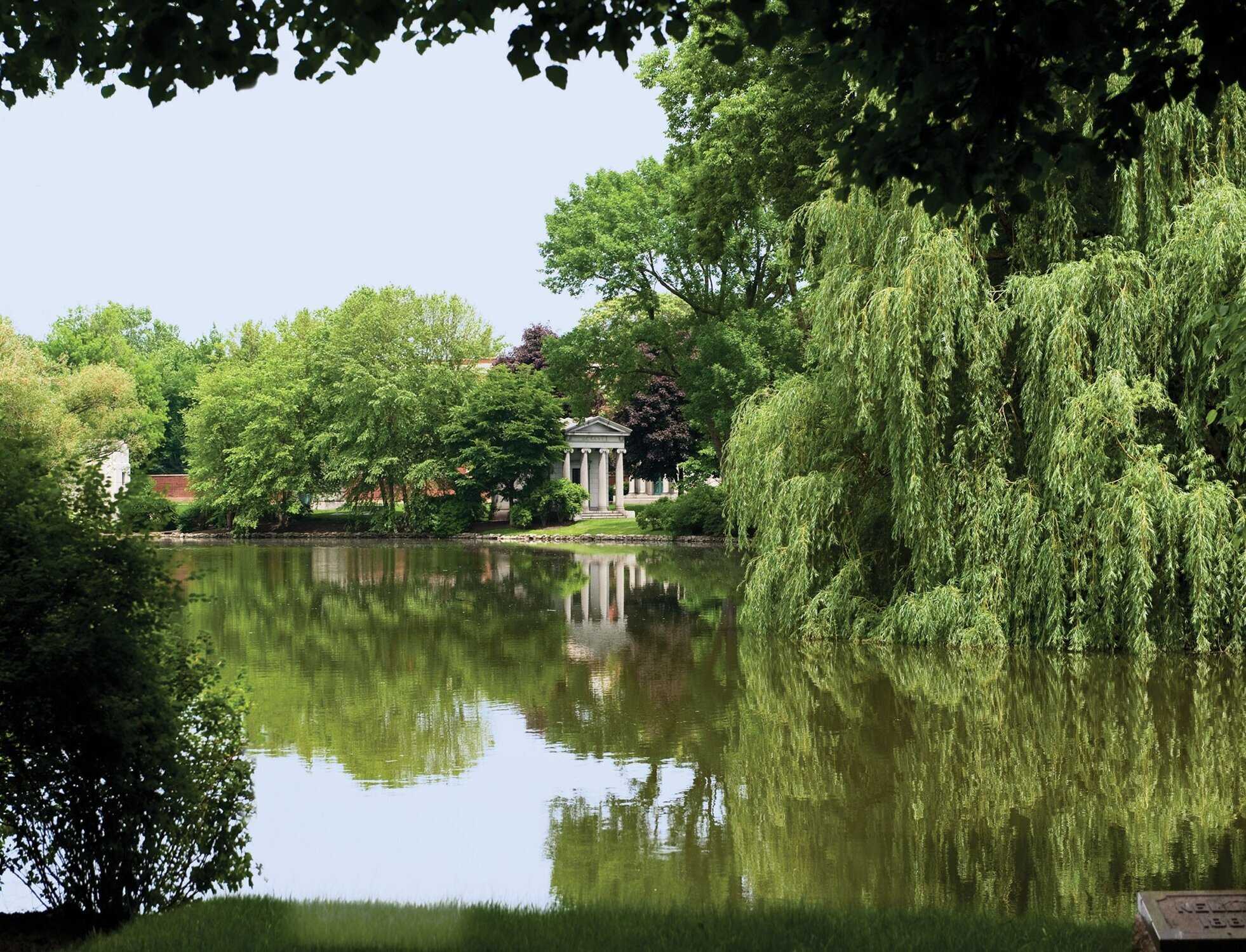 Nature scene with reflecting pond and willowing trees.