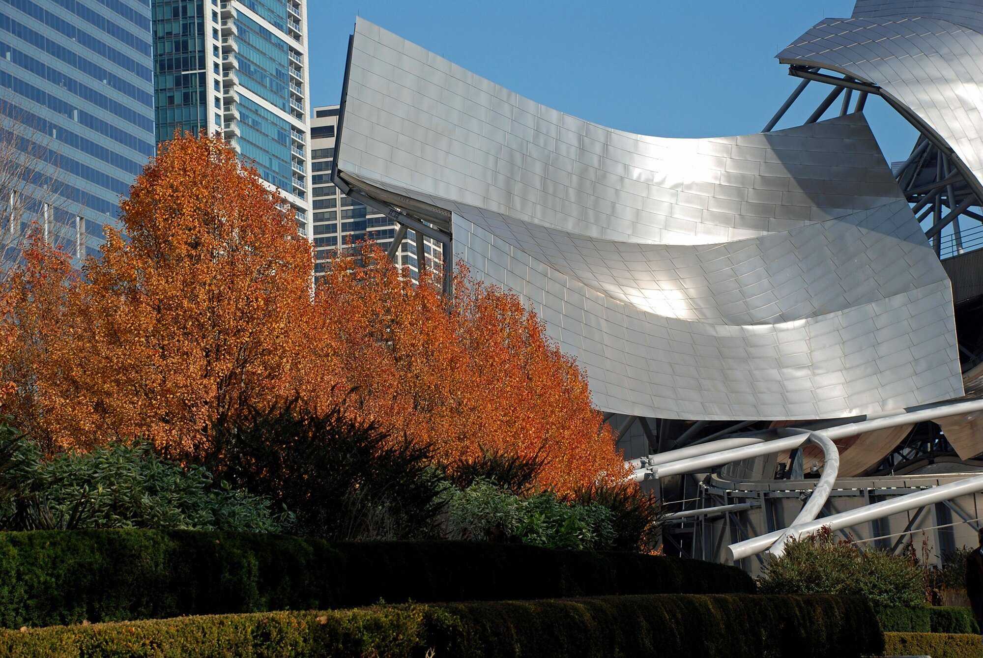 Metal structure surrounded by trees