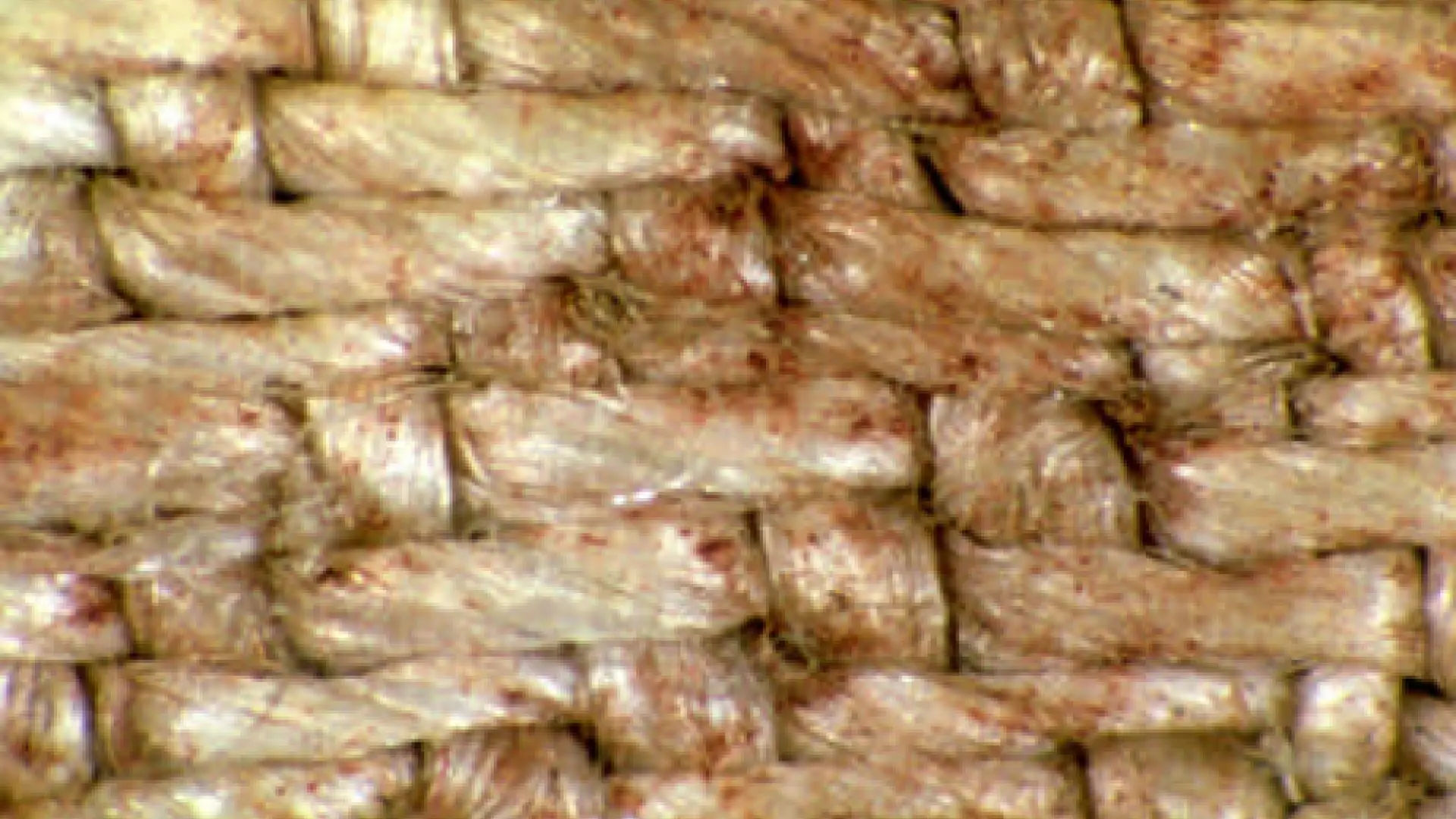Shroud_of_Turin_close_up