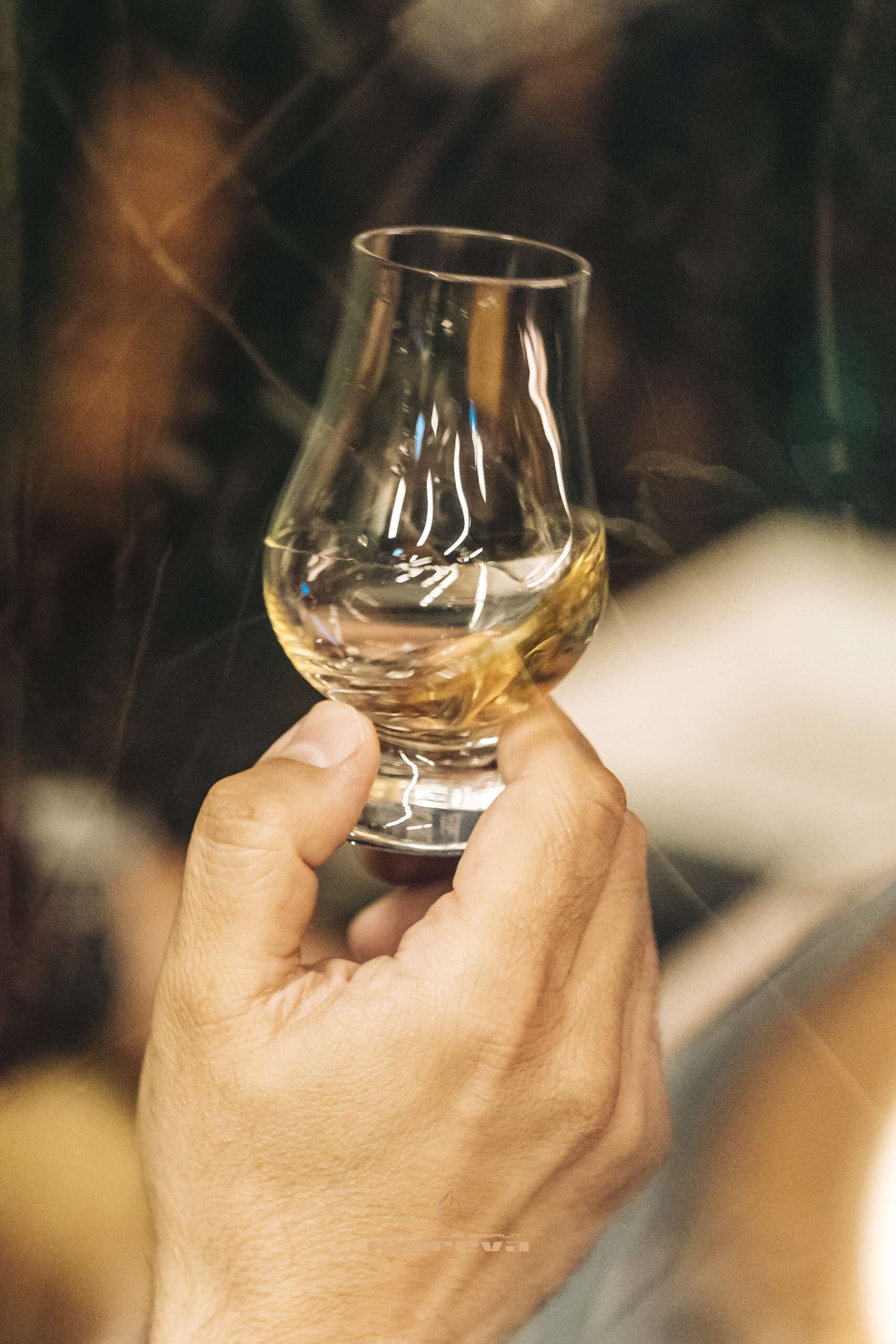 The Launch of the Ardnahoe Lebanon Edition at Club Mareva Beirut - Image 15