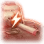 Button Vehicle icon