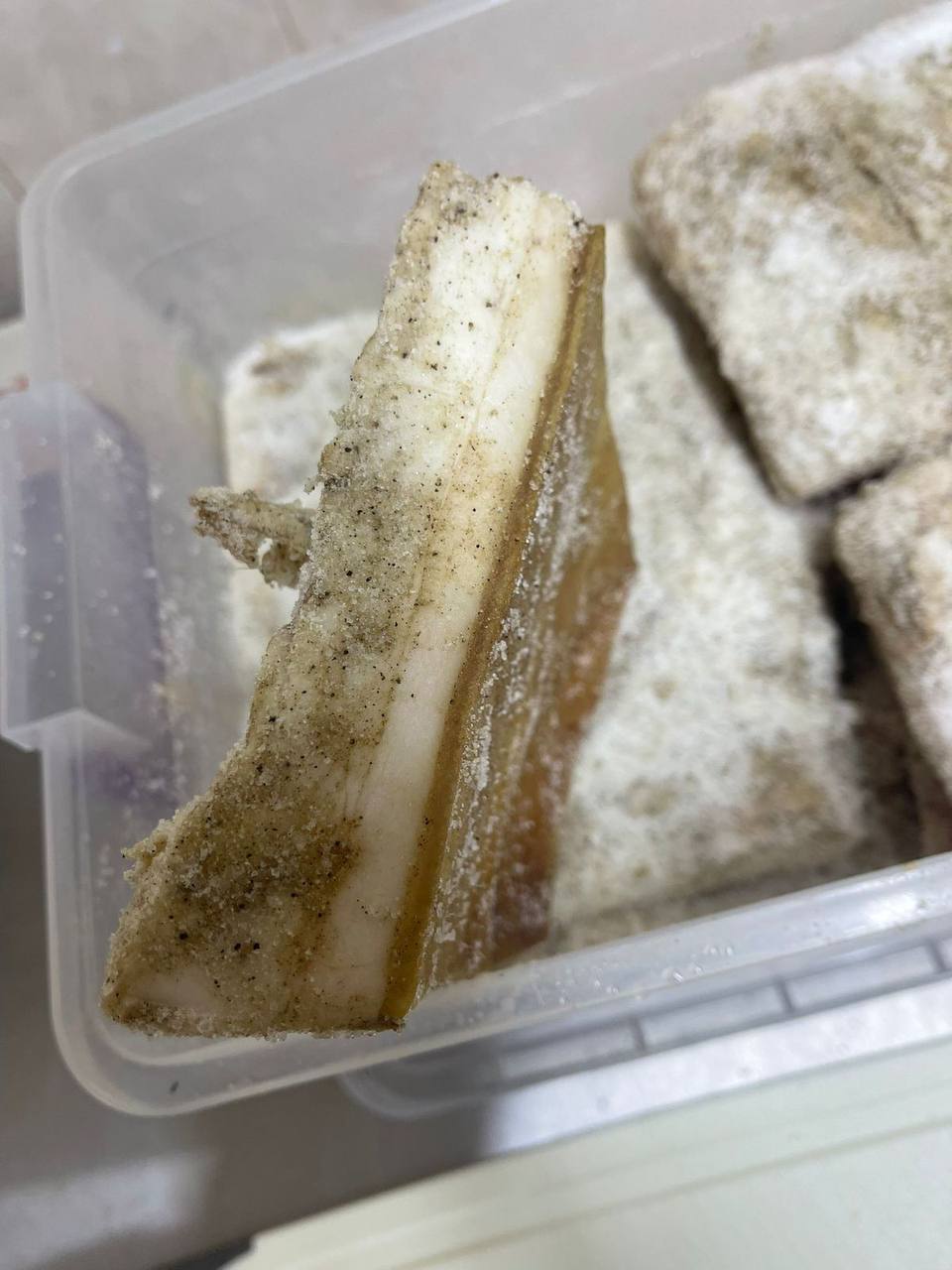 Salted salo (cured pork fat)