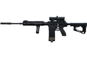 SR-25
