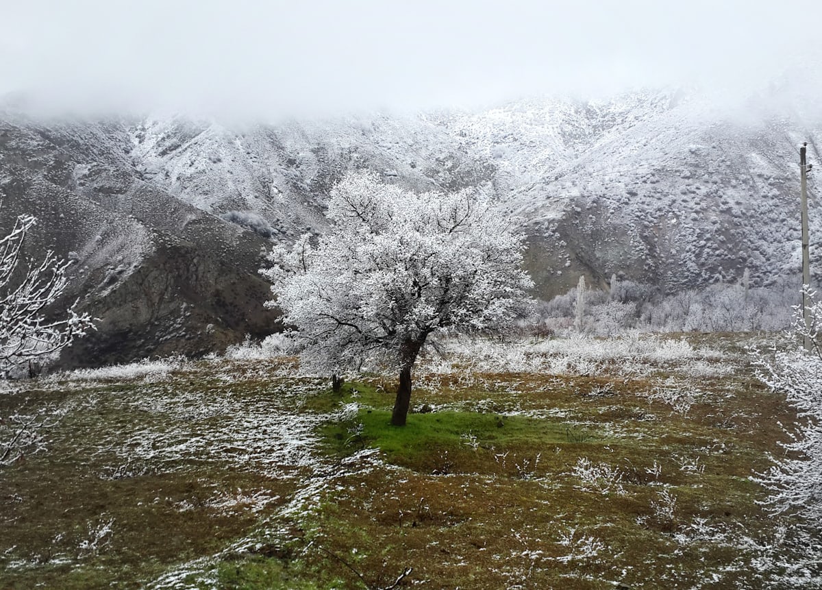 Kullu Manali different seasons