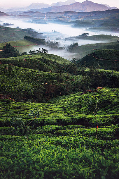Munnar