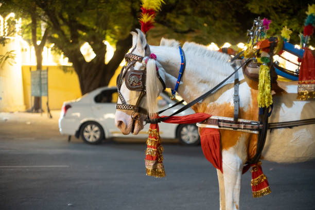 Heritage place in Udaipur 