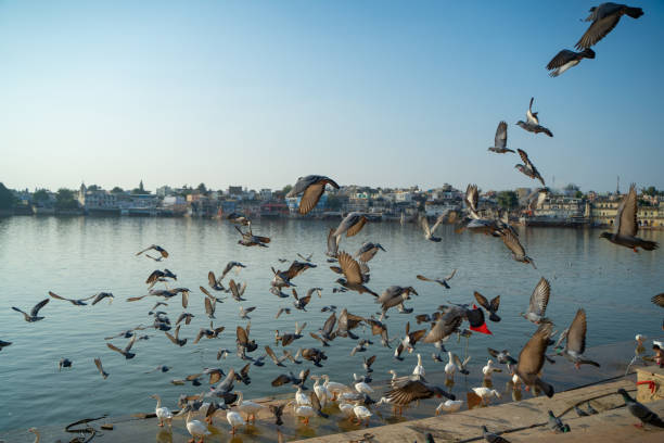 Ajmer Sharif view