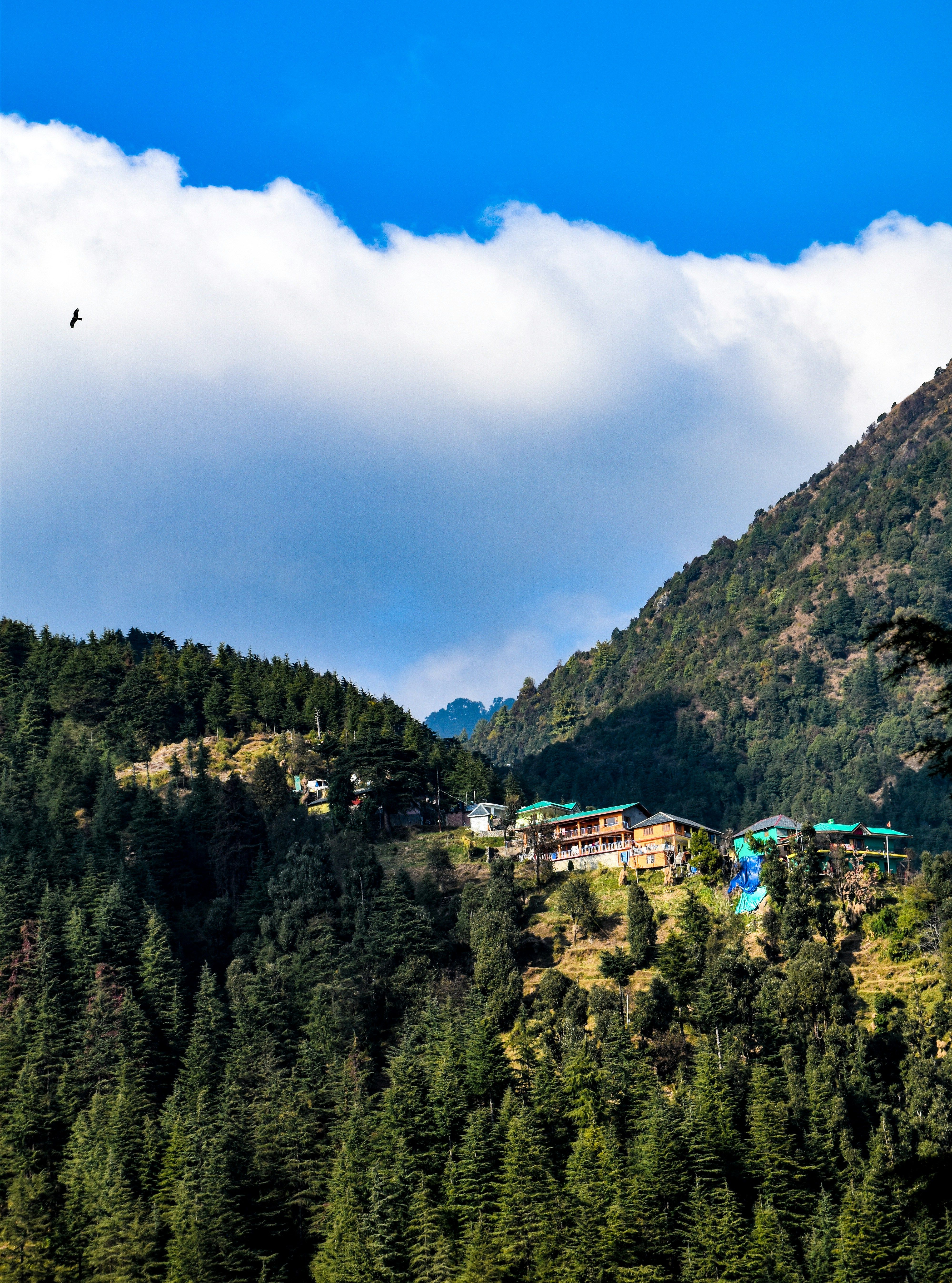 McLeodganj