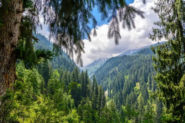 Kullu Valley