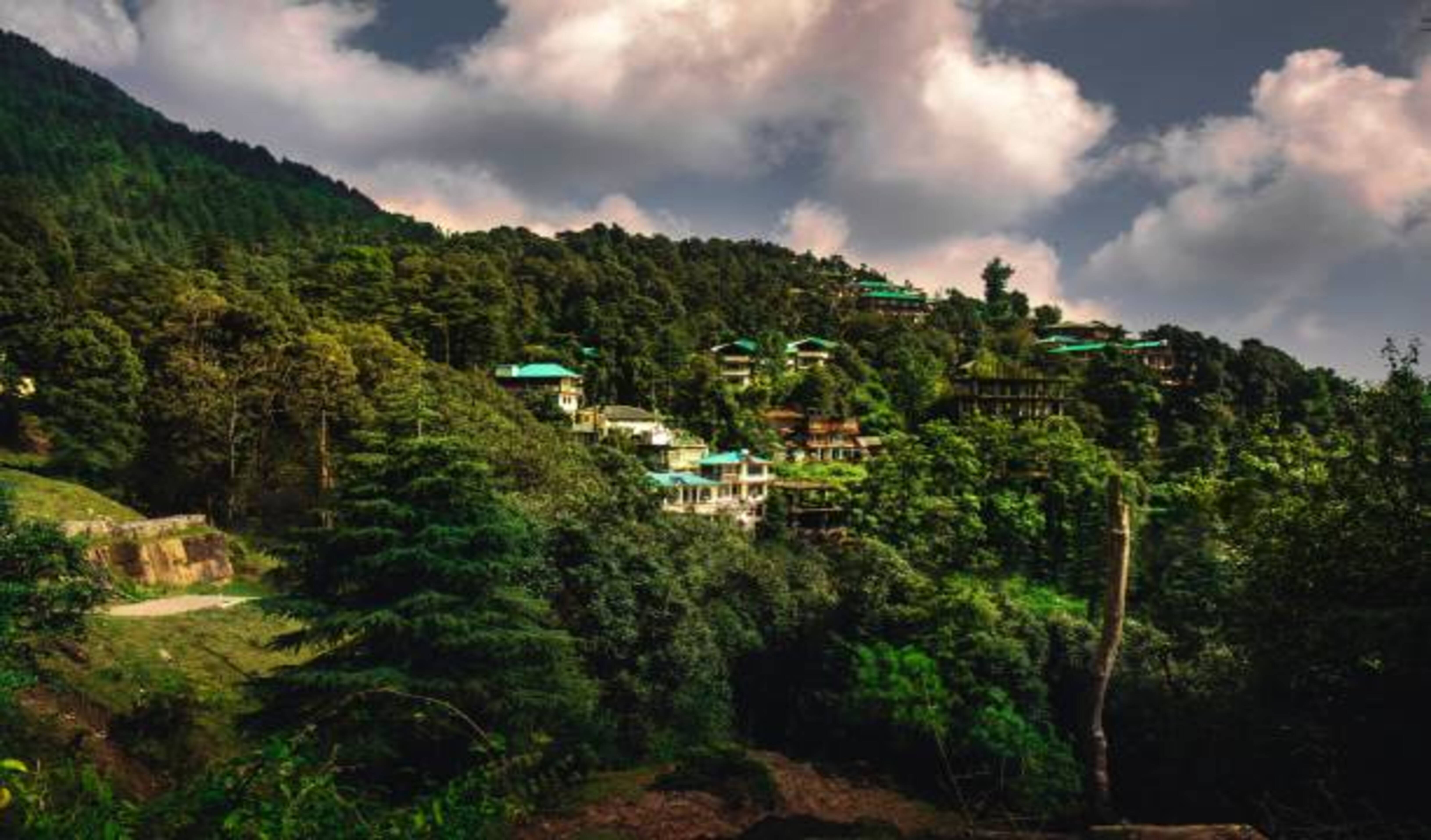 zostel mcleodganj