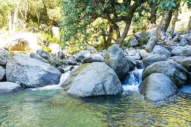 Kareri Lake Dharamshala